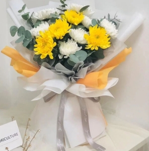 �������Լ��컨��