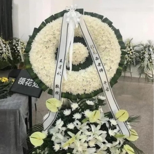 �н�˼����Ȧ
