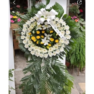 ����л���Ȧ
